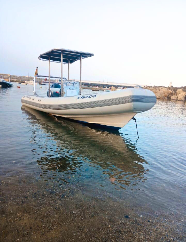 lancha semirrígida Sea Ribs