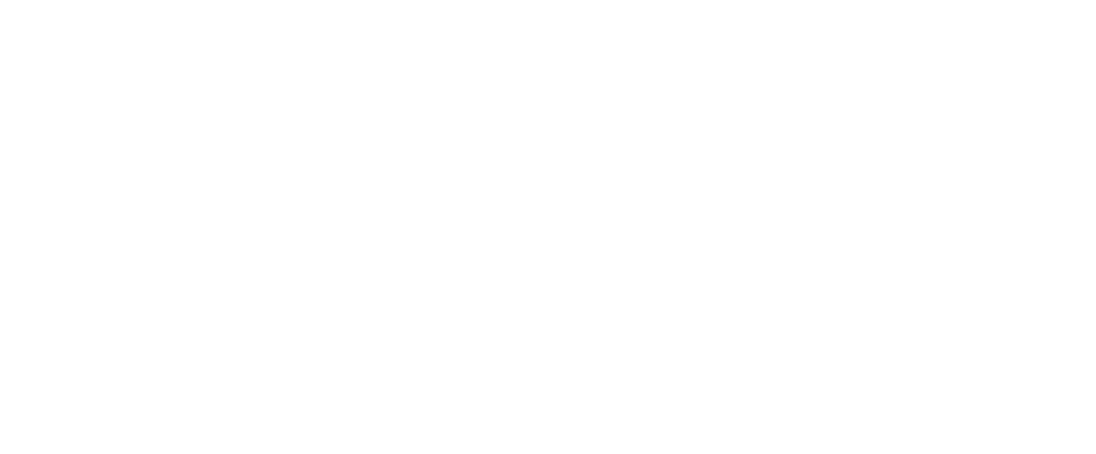 norautic logo